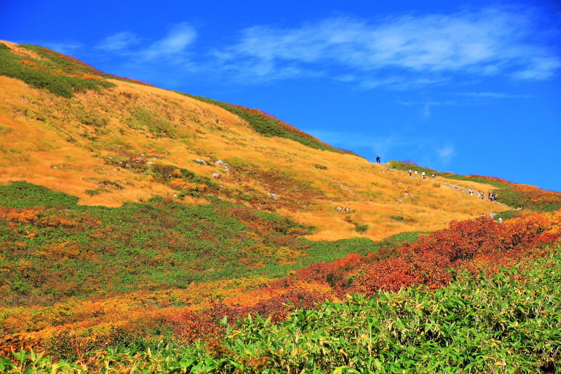 日本の風景 月山の紅葉 壁紙19x1280 壁紙館