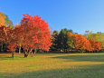 真駒内公園の紅葉11～秋日和