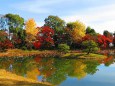 大覚寺大沢の池の紅葉