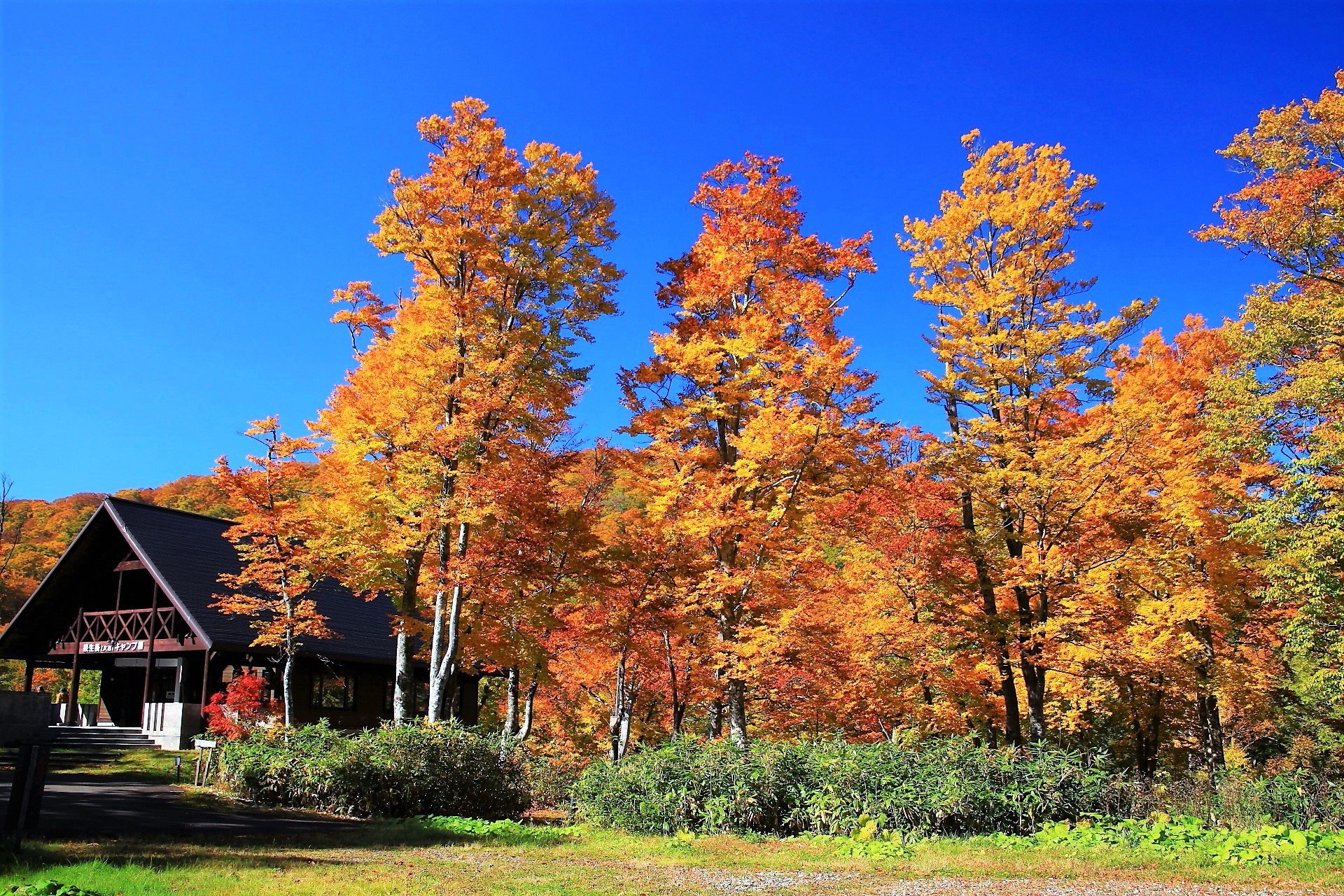日本の風景 秋のキャンプ場 壁紙19x1280 壁紙館