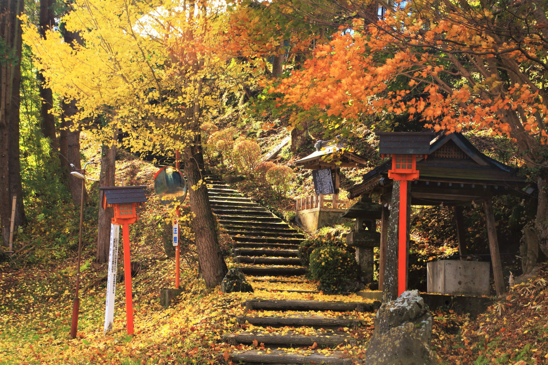 すべての花の画像 トップ100神社 壁紙 Pc