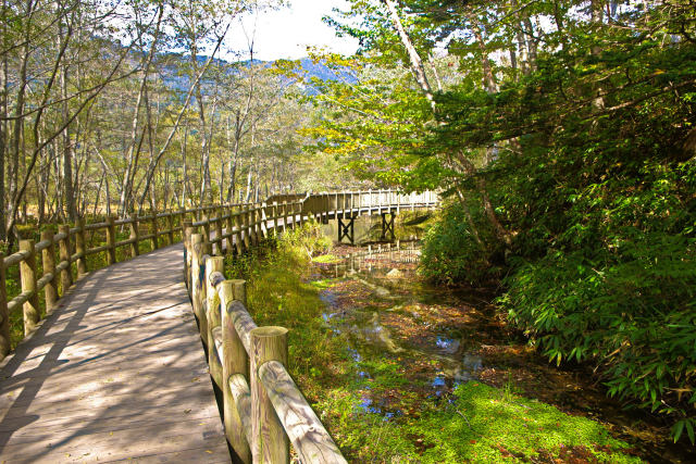 上高地自然研究路