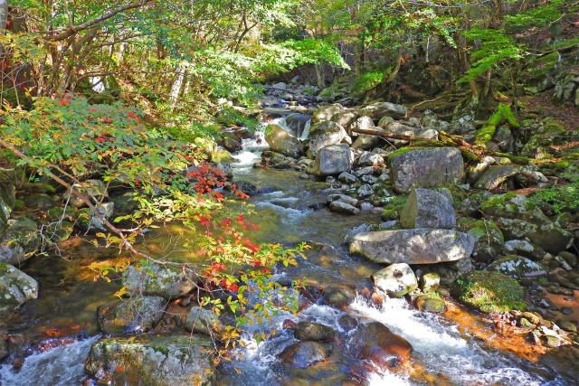 紅葉の芦津渓谷7