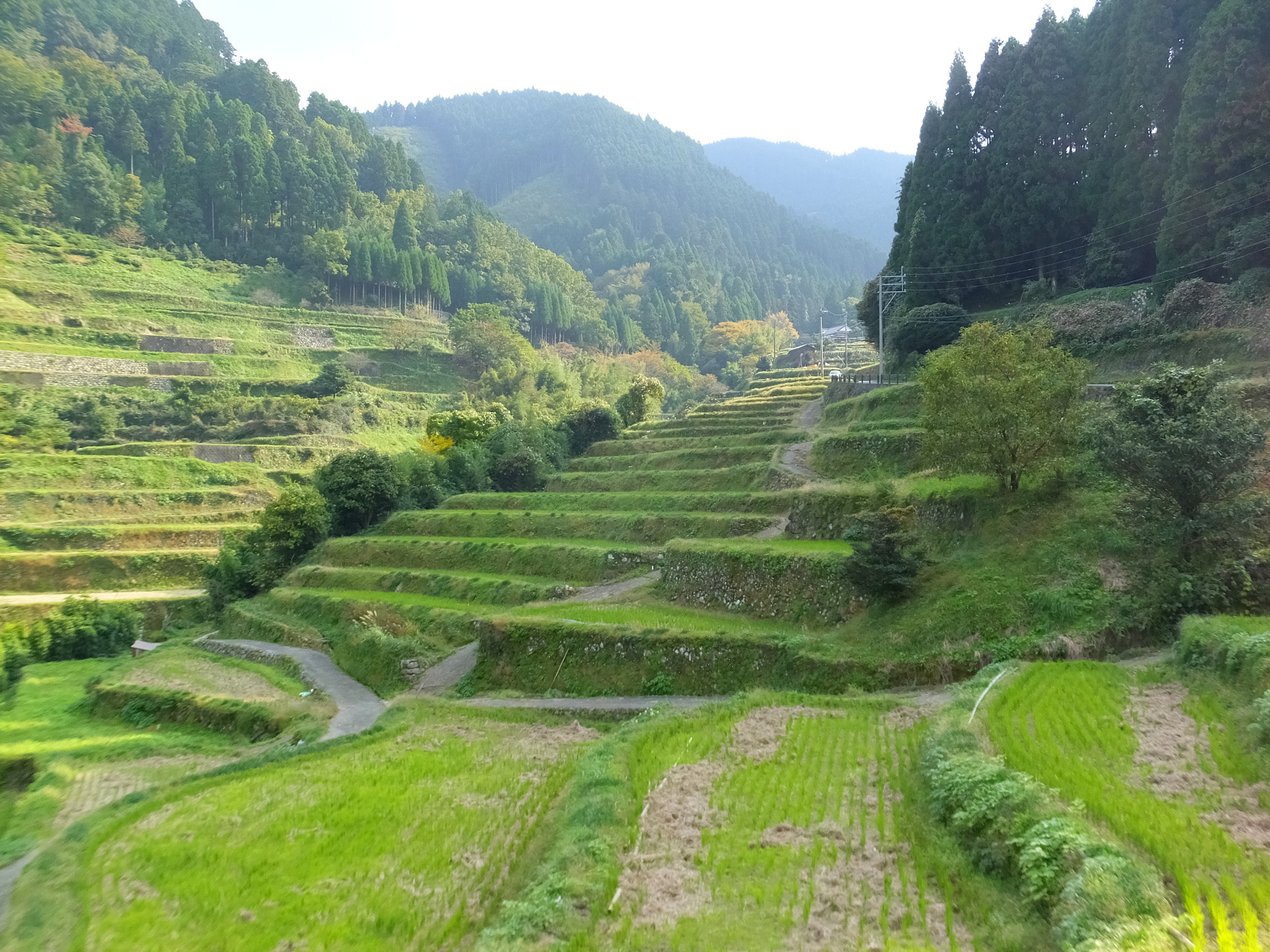 日本の風景 11月の棚田 壁紙19x1440 壁紙館