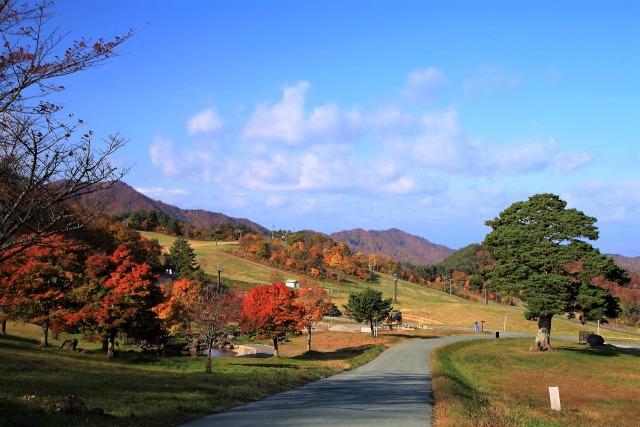 秋の天童高原