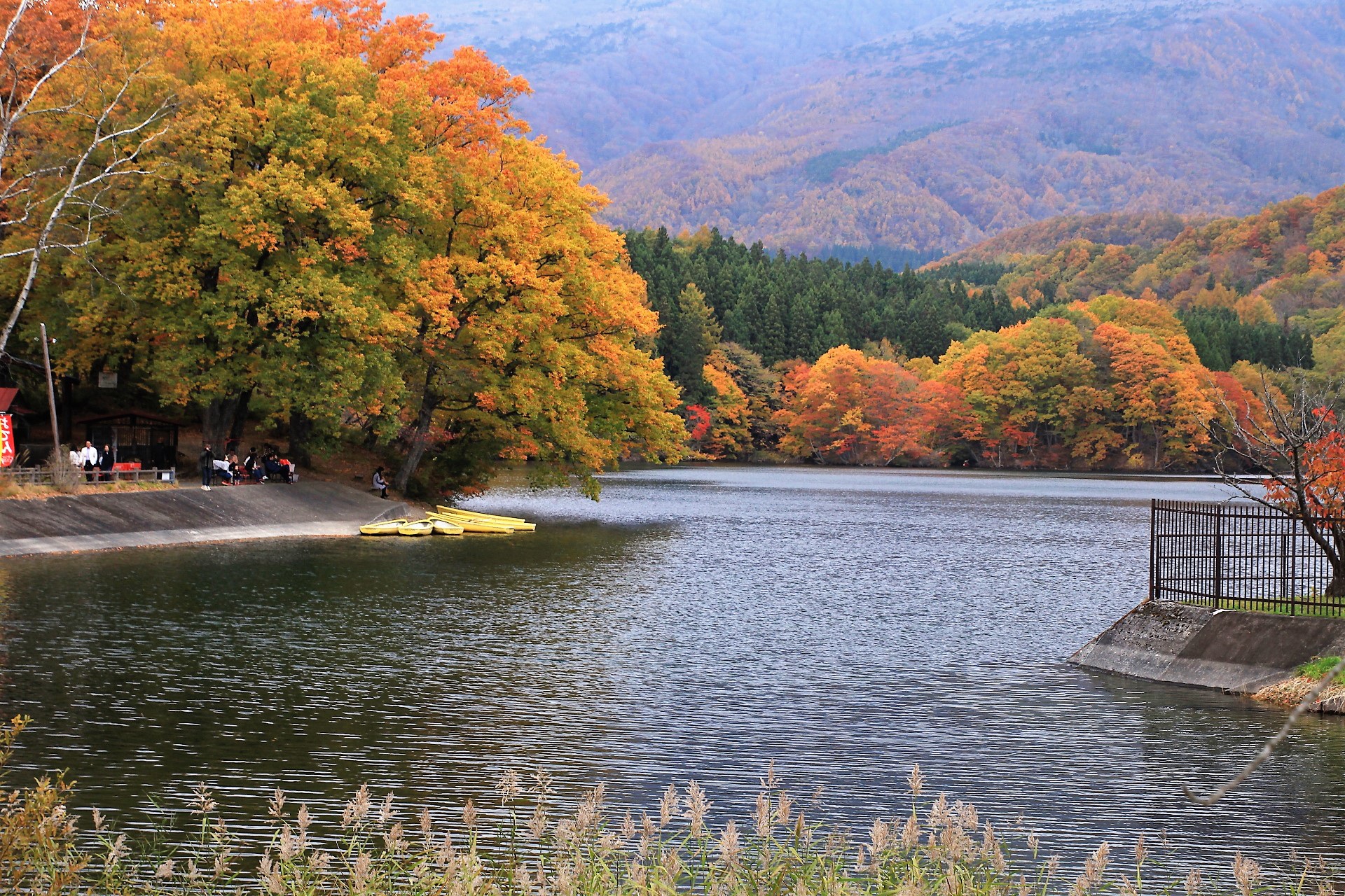 日本の風景 秋の長老湖 壁紙19x1280 壁紙館