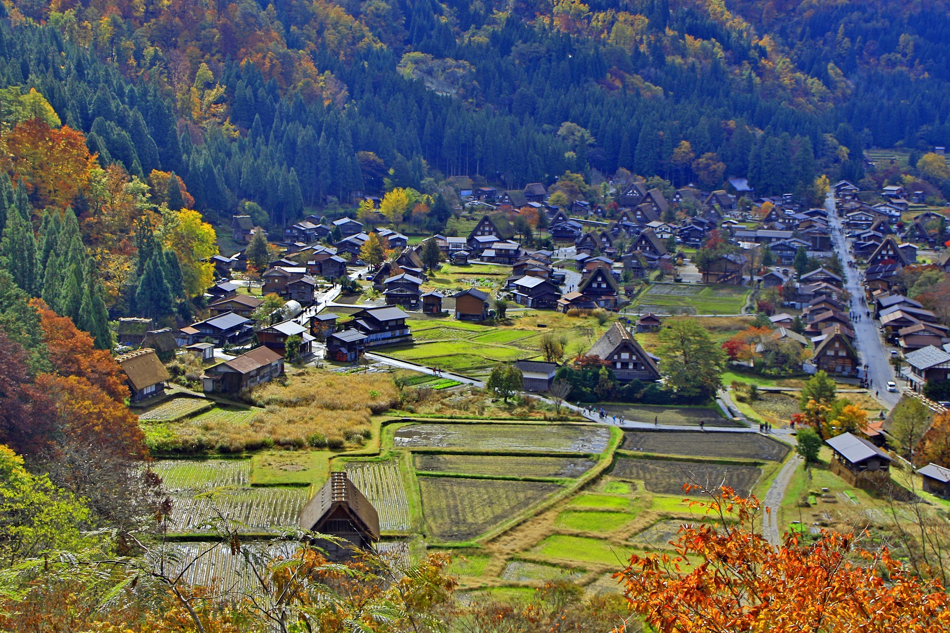 日本の風景 秋の白川郷 壁紙19x1280 壁紙館