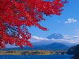 精進湖から 富士山と紅葉