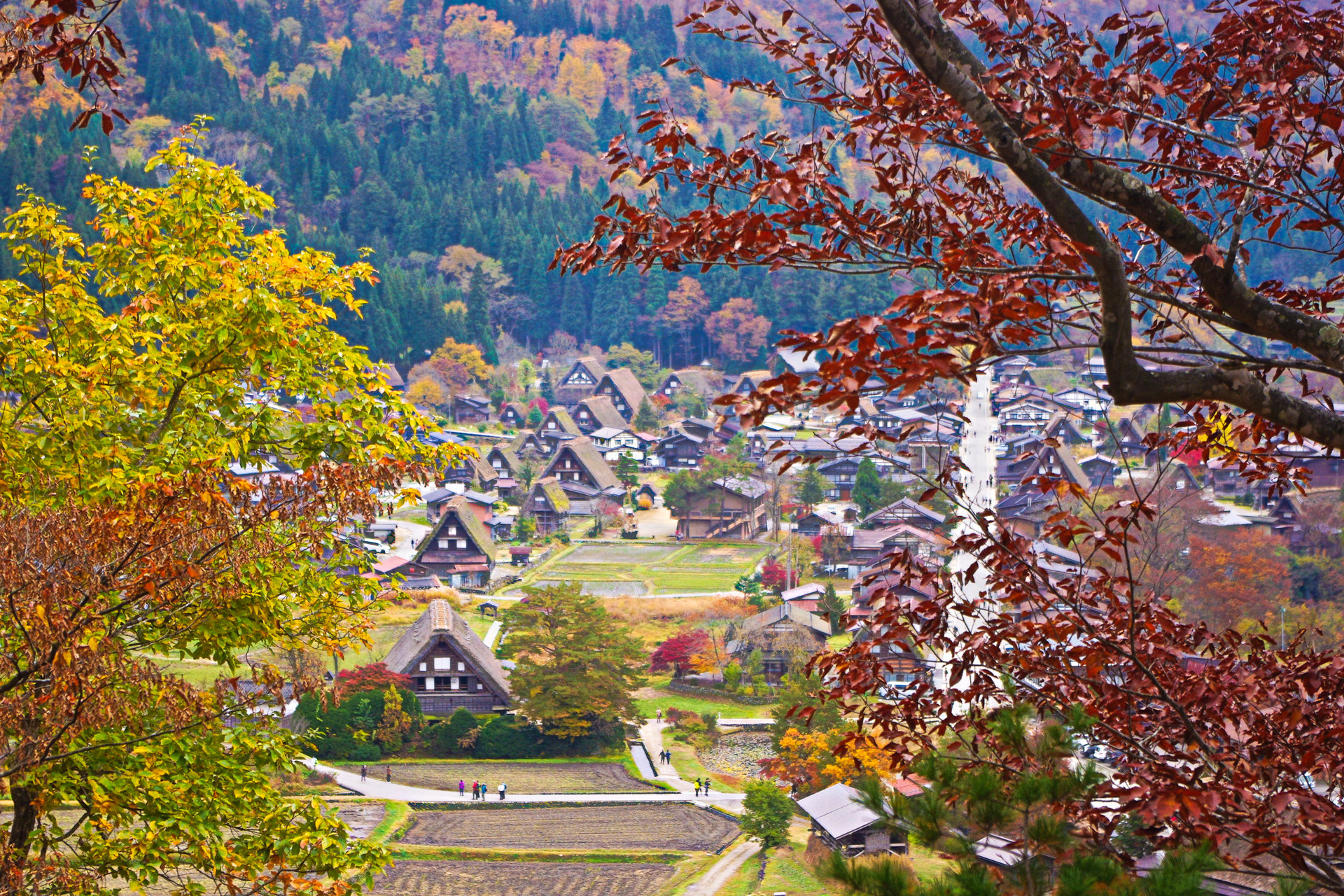 日本の風景 世界遺産 白川郷の秋 壁紙19x1280 壁紙館