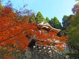 長源寺の楓