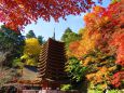 談山神社の国宝十三重の塔