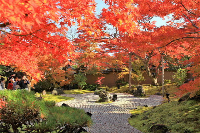 日本の風景 松島円通院枯山水庭園 壁紙館