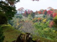 城跡の秋風景