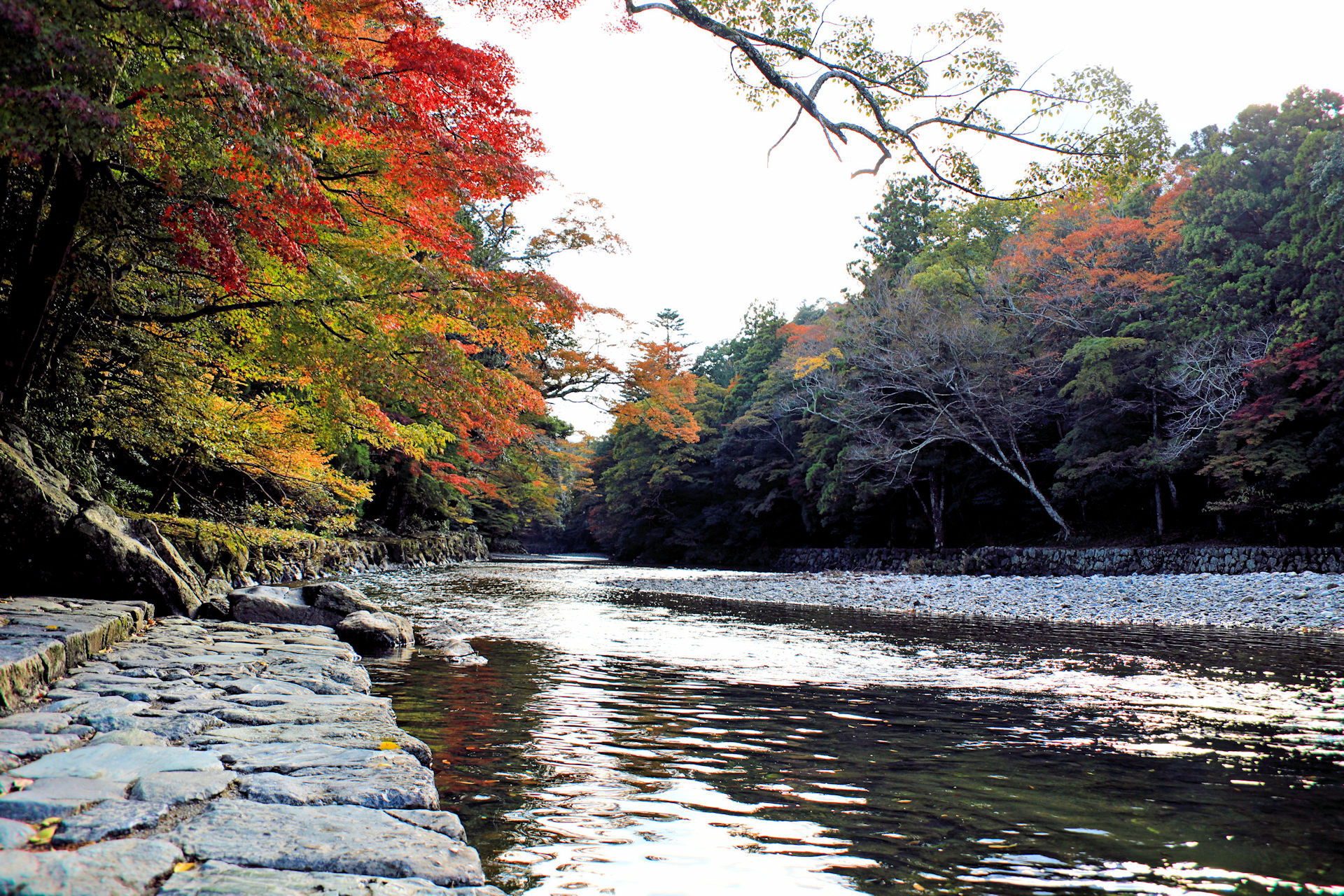 日本の風景 光輝く五十鈴川の流れ 壁紙19x1280 壁紙館