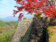 岡城址城壁の紅葉