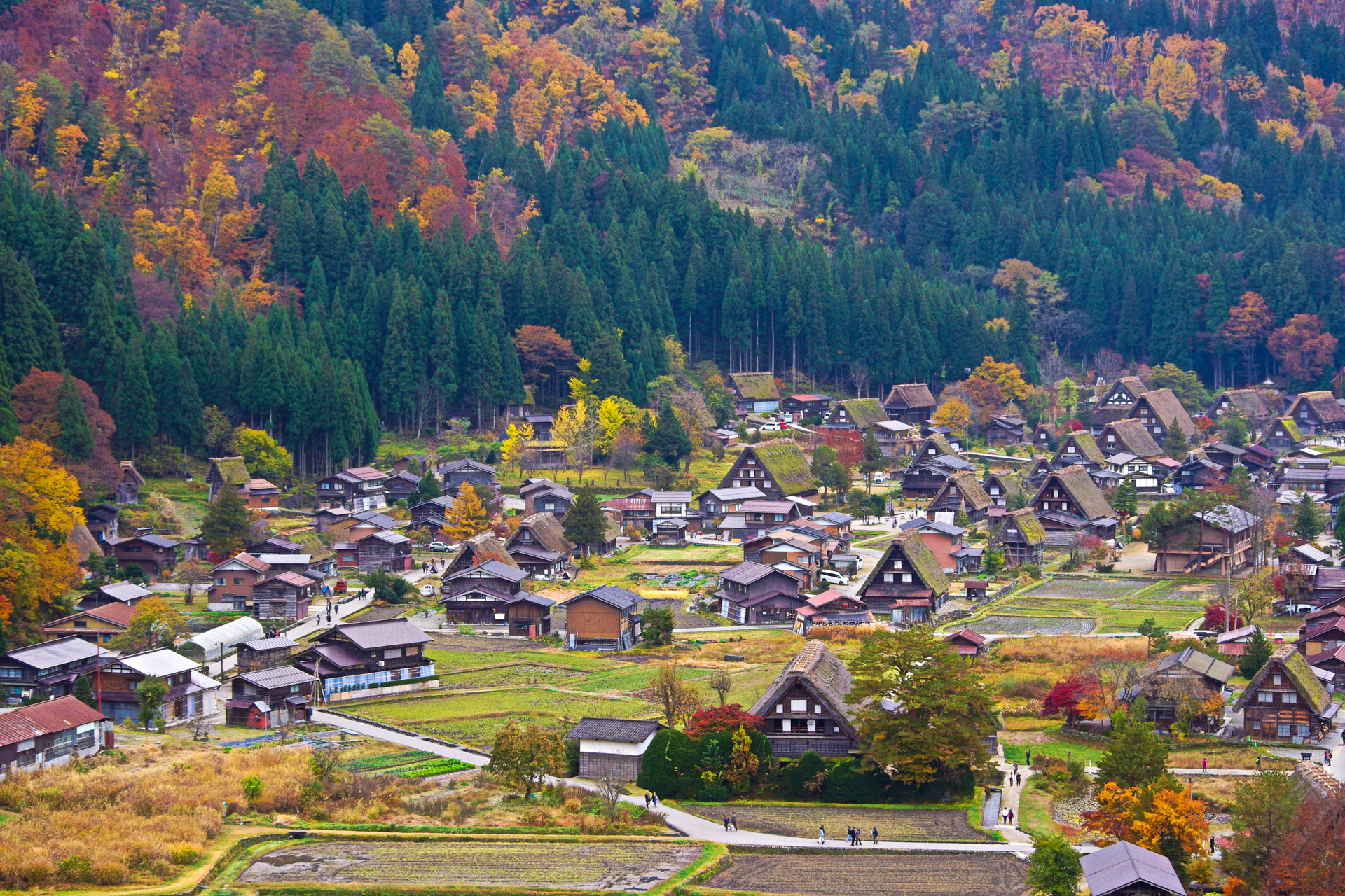 日本の風景 世界遺産 白川郷の秋 壁紙19x1280 壁紙館