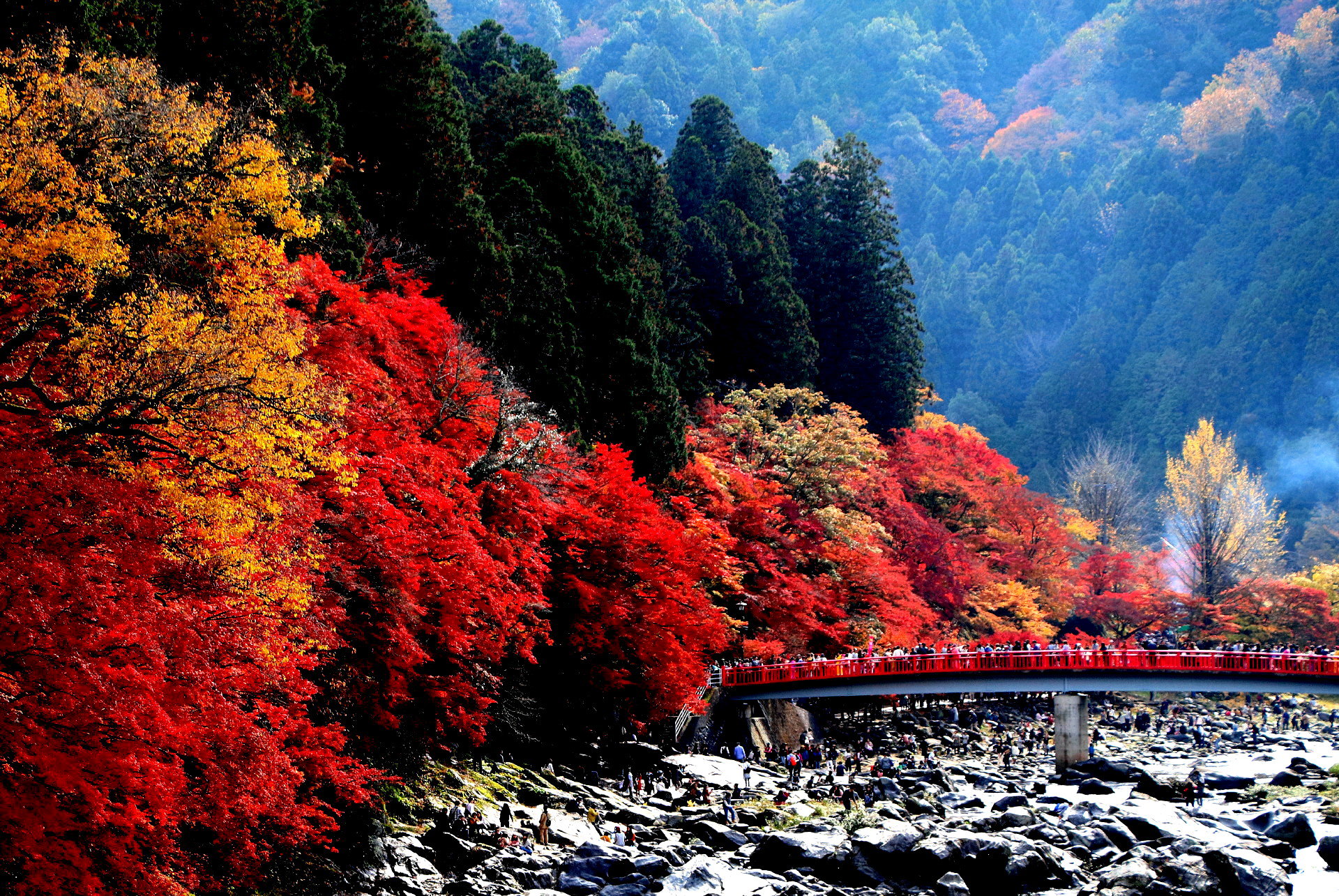 日本の風景 紅葉渓谷は香嵐渓 壁紙19x1285 壁紙館