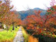 哲学の道・琵琶湖疎水と東山