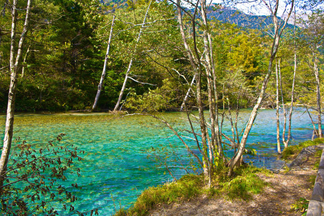 上高地の秋・清流梓川