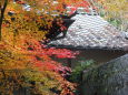 日本の秋、静の風情