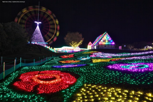 イルミネの花畑