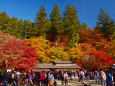 香嵐渓広場の紅葉