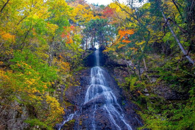 秋の三休の滝