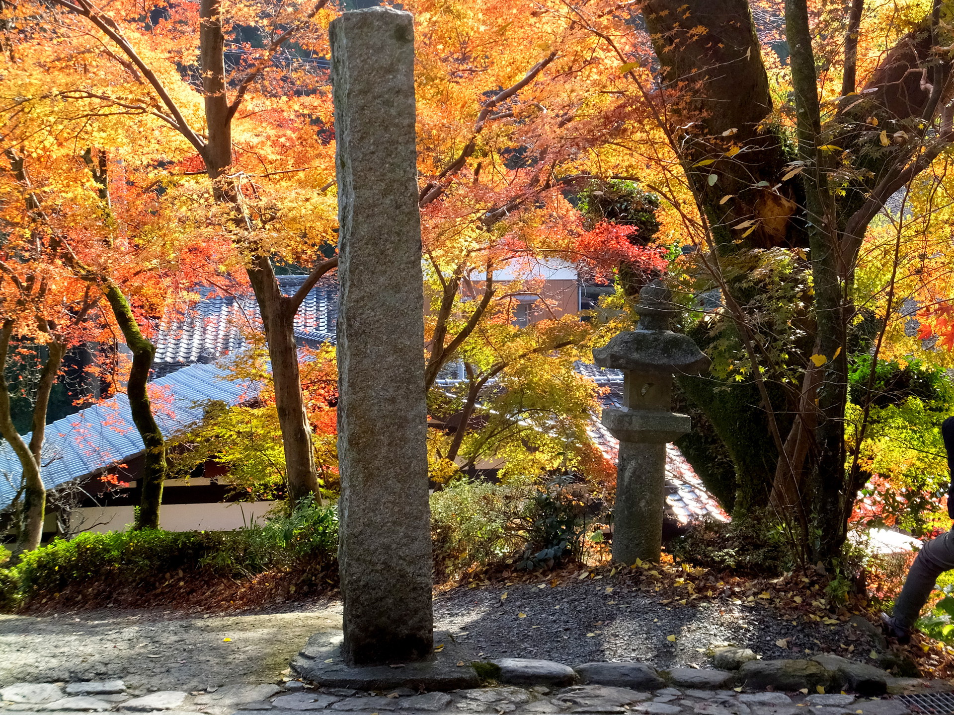 日本の風景 秋月城址の紅葉 1 壁紙19x1440 壁紙館