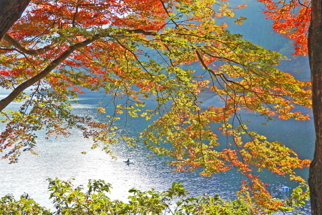 秋の音水湖2