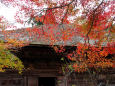 湖南三山長寿寺・本堂と紅葉