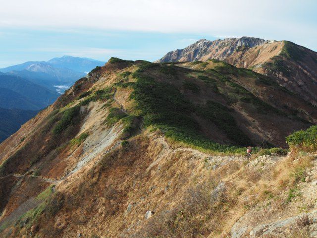弓折岳稜線