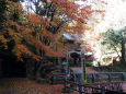 清水寺