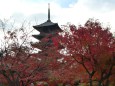 東寺五重の塔と名残の紅葉