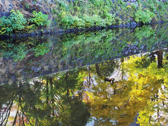 心字池の映り込み