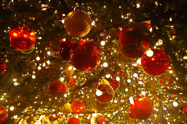 冬の煌めき Vol.2