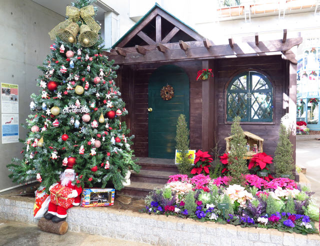 クリスマスの飾り付け