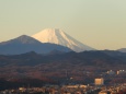 ベランダから富士山
