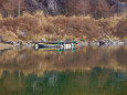 西湖 湖畔の風景