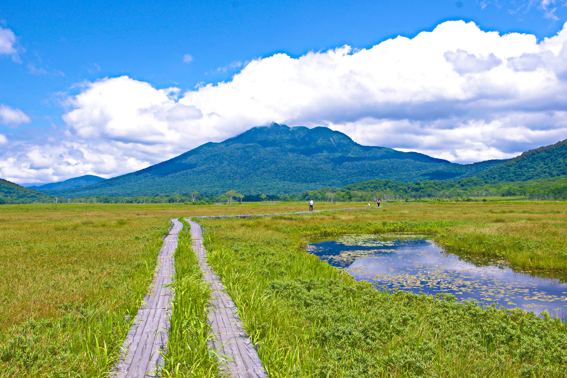 日本の風景 夏の尾瀬 壁紙1920x1280 壁紙館