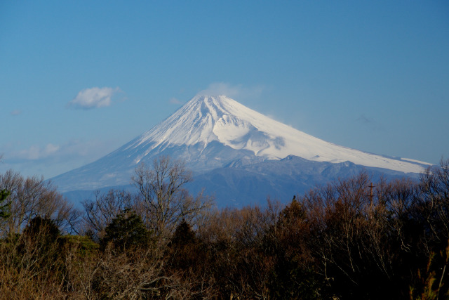 初春を言祝ぐ富士の山