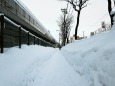 札幌の積雪