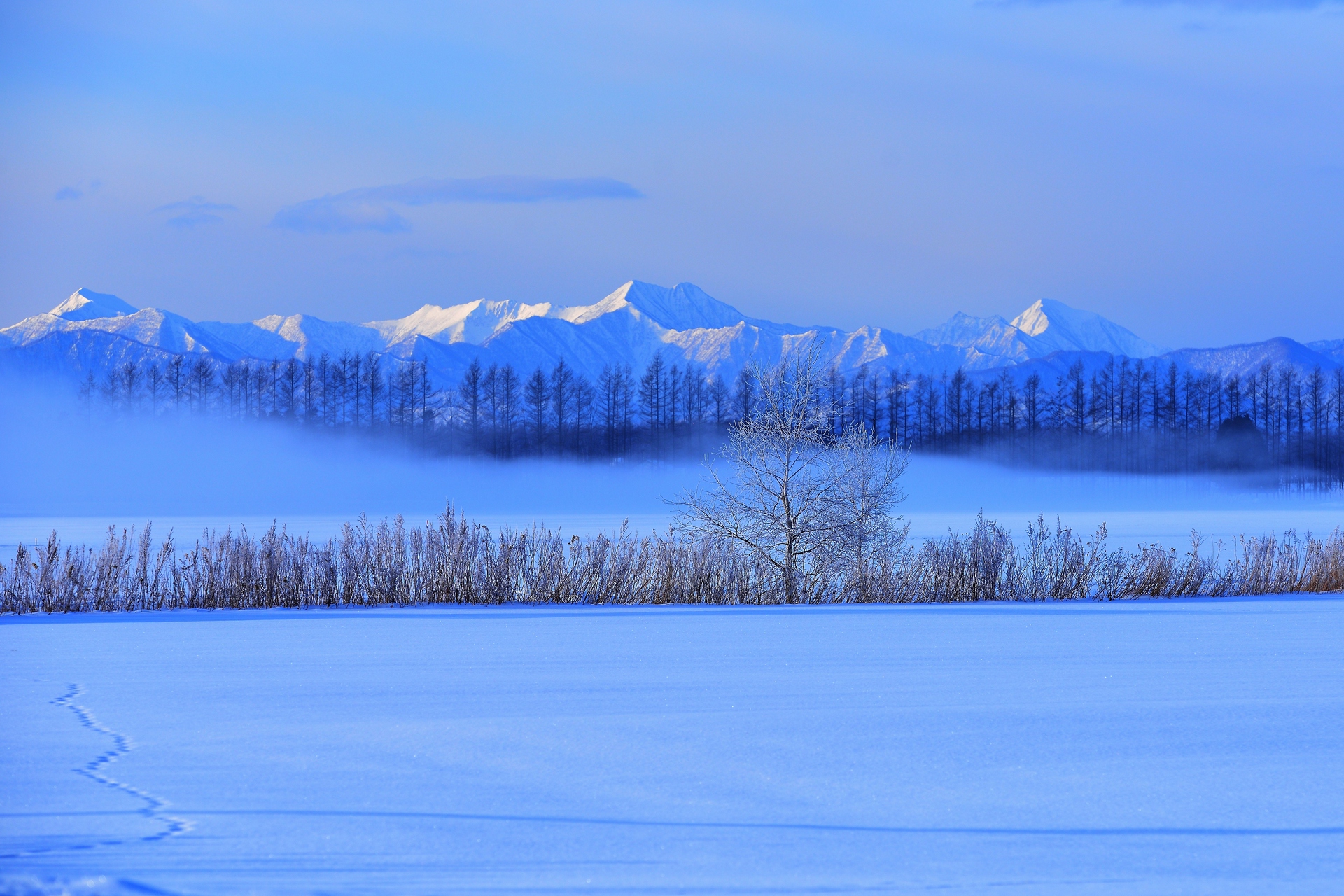 日本の風景 厳冬の北海道 壁紙19x1280 壁紙館