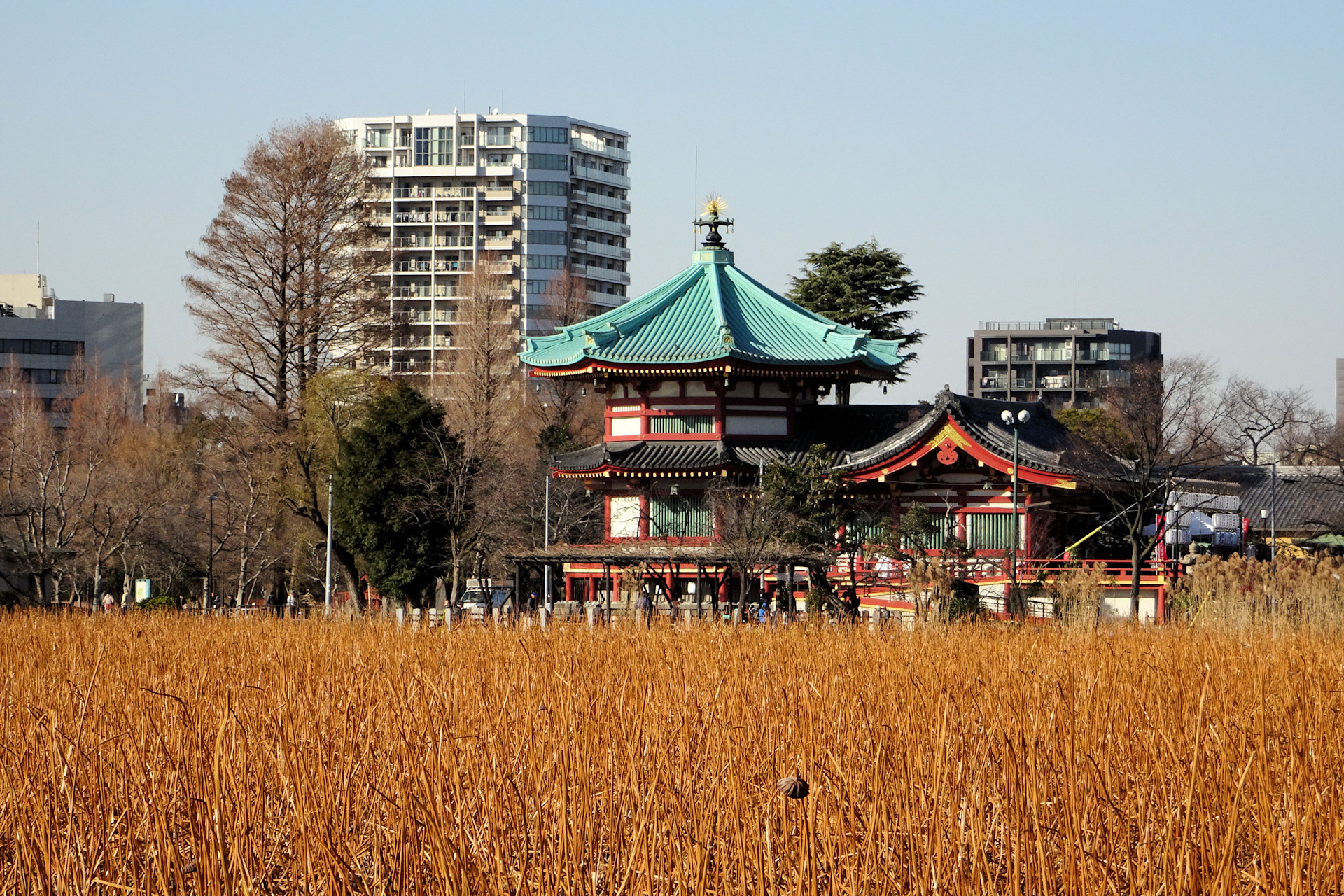 日本の風景 不忍池 弁財天 壁紙19x1280 壁紙館