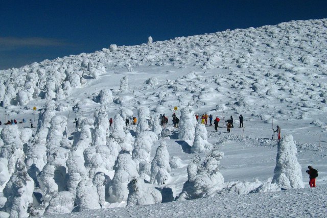 モンスターの山