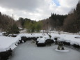 冬の日本庭園