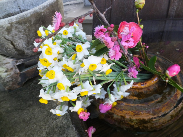 能古島に咲く早春の花