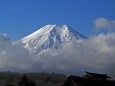 忍野八海の富士