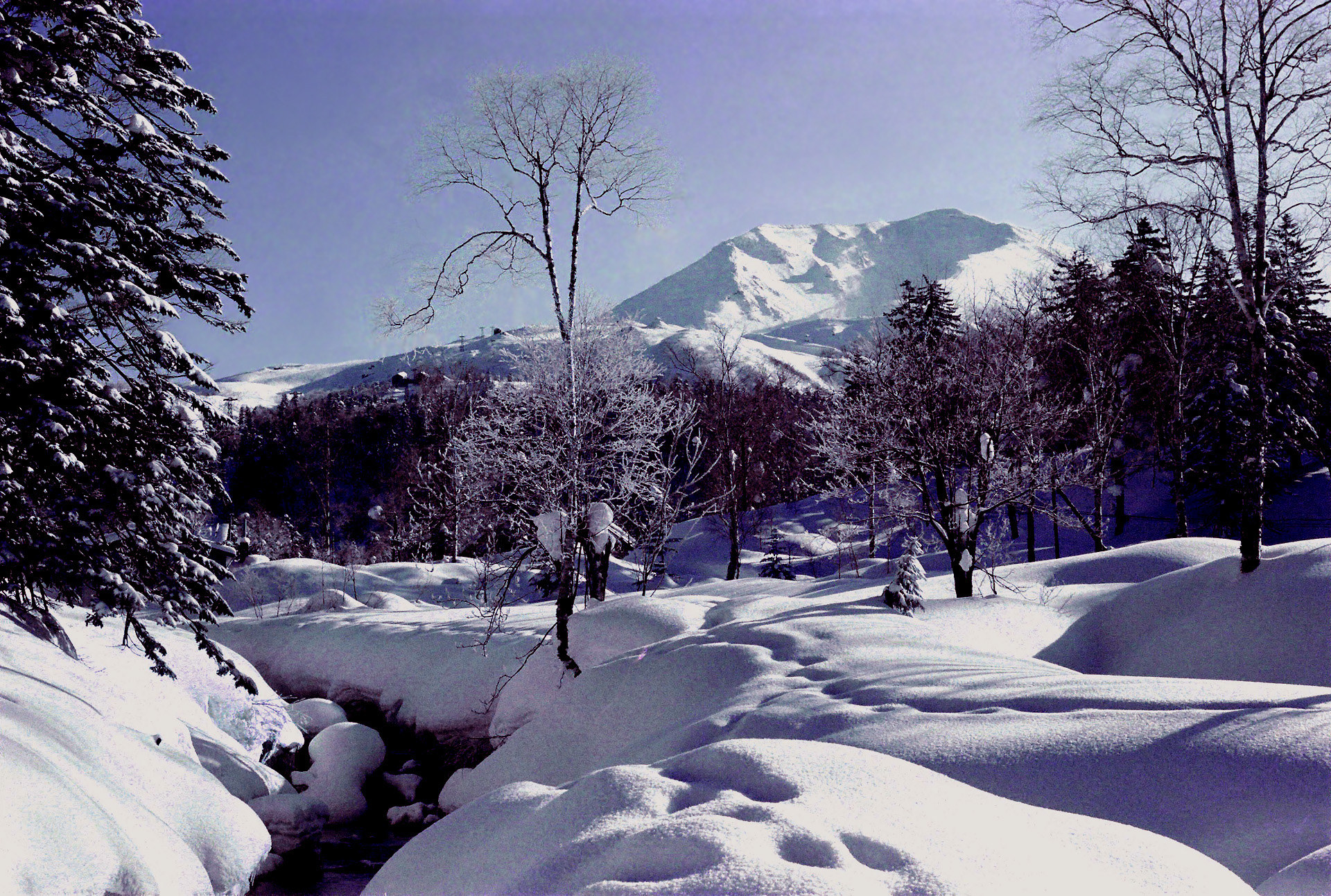 日本の風景 大雪山旭岳 追憶の山々 壁紙1920x1292 壁紙館