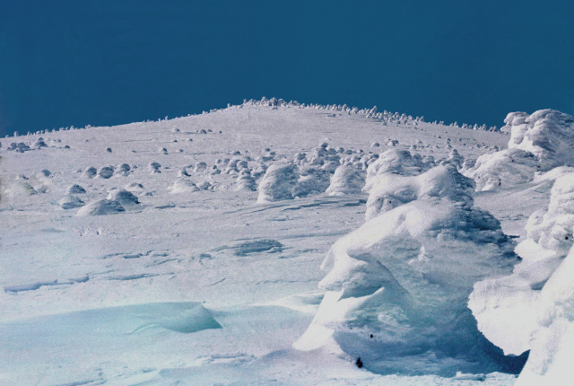 樹氷の中大巓～追憶の山々～