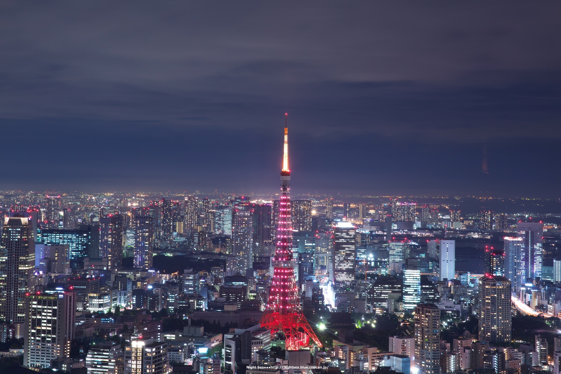 夜景 花火 イルミ 都会のキャンドル2 壁紙19x1280 壁紙館